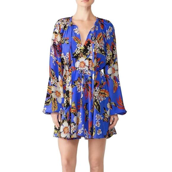 Diane Von Furstenberg Dress Floral Print Silk Cinch Long Sleeve Mini Blue XS - Picture 1 of 10
